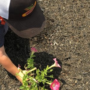 child planting a flower at Happyface Nursery School